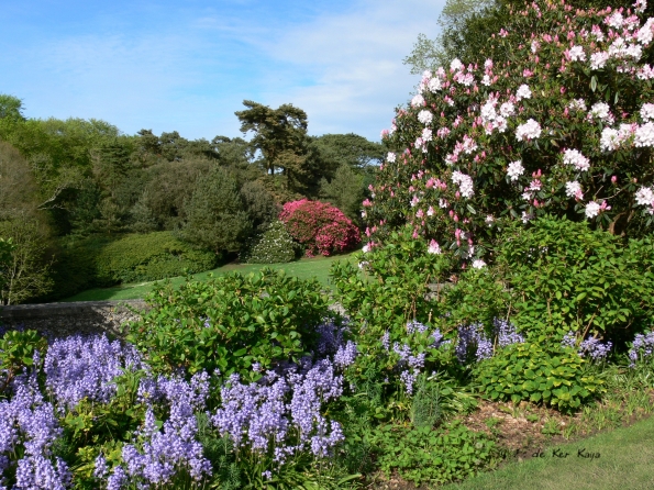 Bois des Moutiers (162) Mai 2012